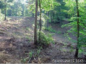 0 Sharon Ridge Road, Unit 1 1 Fairview, NC 28730 - Photo 5 of 7 Gallery Image 5