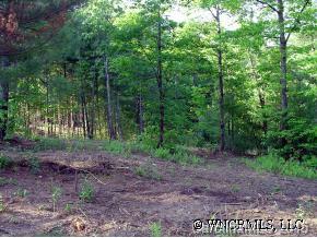 0 Sharon Ridge Road, Unit 1 1 Fairview, NC 28730 - Photo 6 of 7 Gallery Image 6