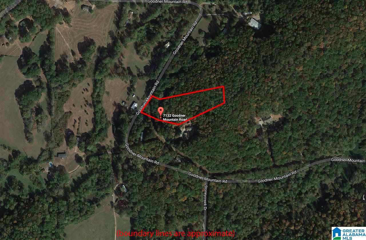7132 Goodner Mountain Road Pinson, AL 35126 - Photo 3 of 14