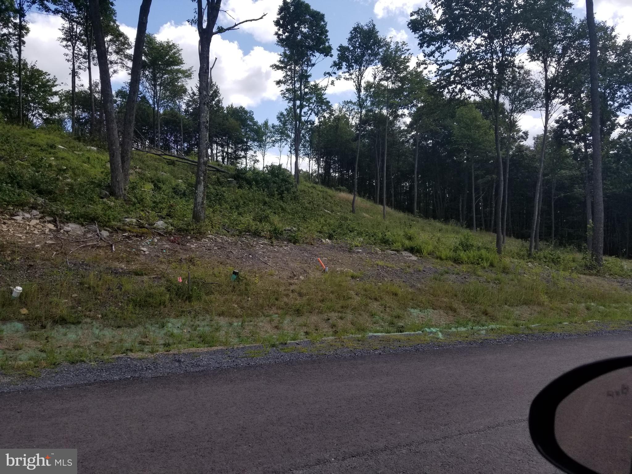 North Camp Road McHenry, MD 21541 - Photo 1 of 1 Lot 69 N Camp Rd-Envision Your Mountain Retreat!