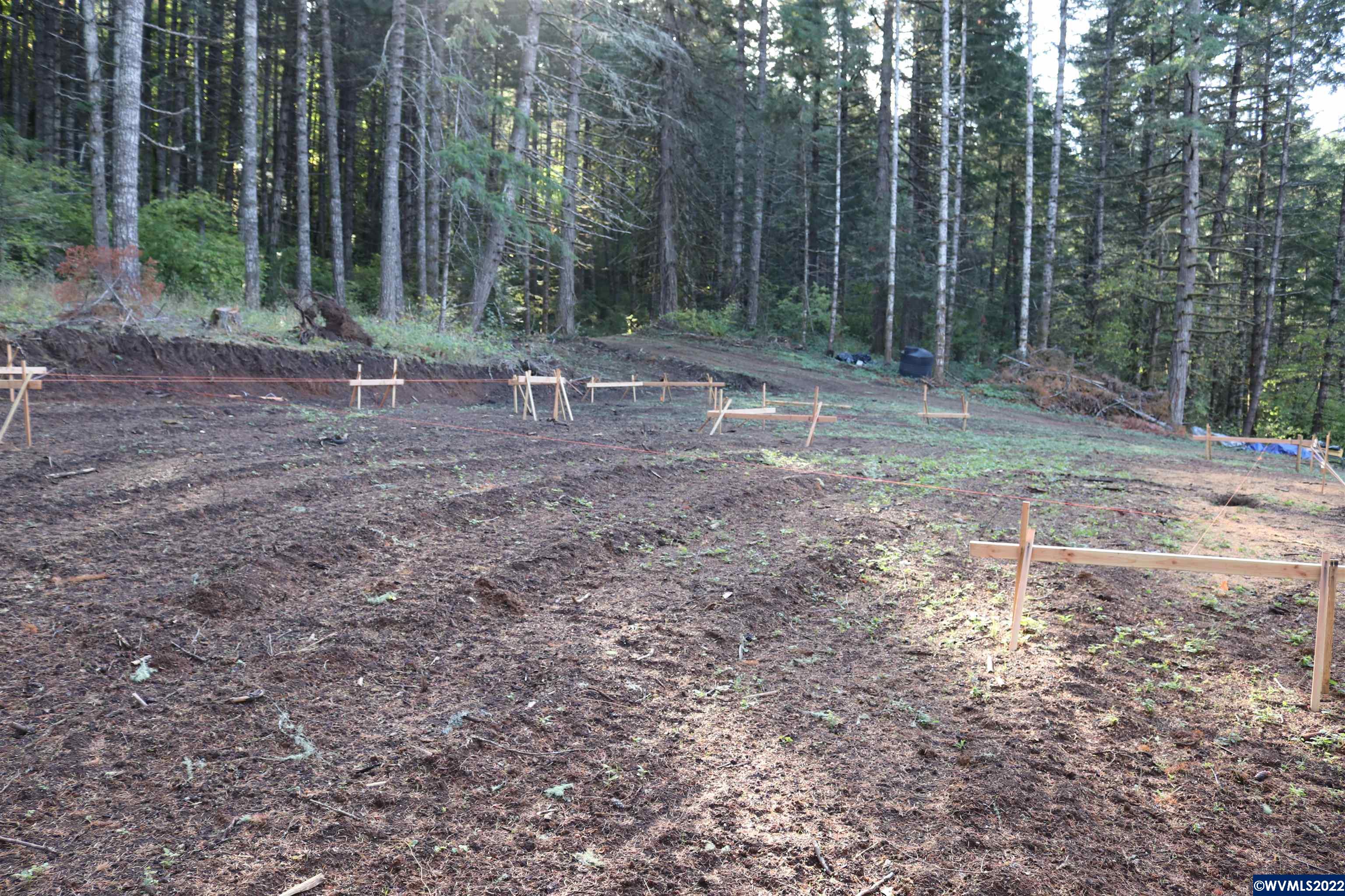 1883 Pioneer Road Dallas, OR 97338 - Photo 1 of 10 a backyard of a house with lots of green space