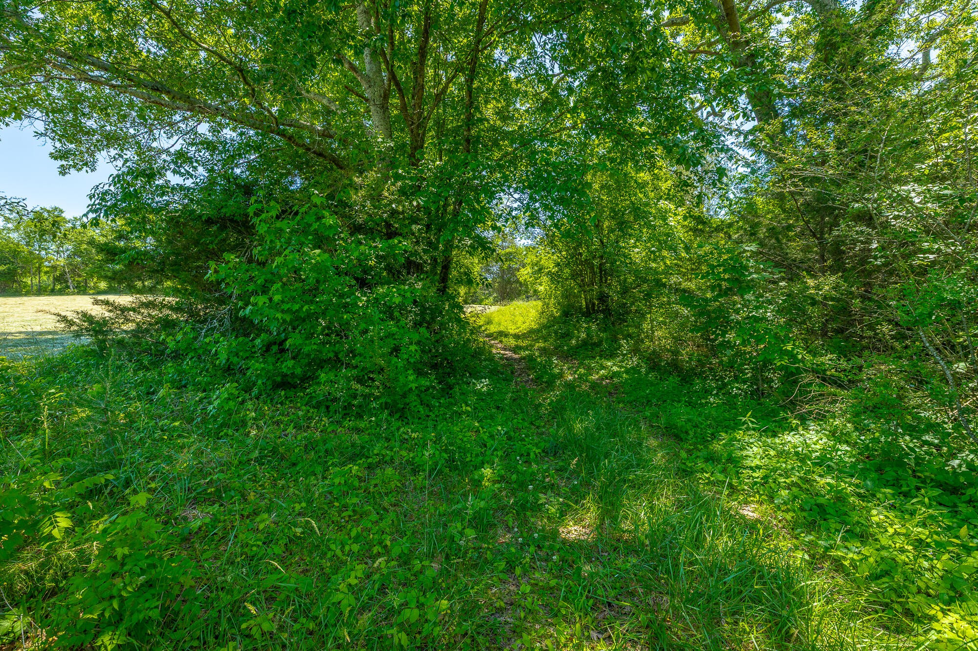 1655 West Cove Road Chickamauga, GA 30707 - Photo 21 of 62 Gallery Image 21