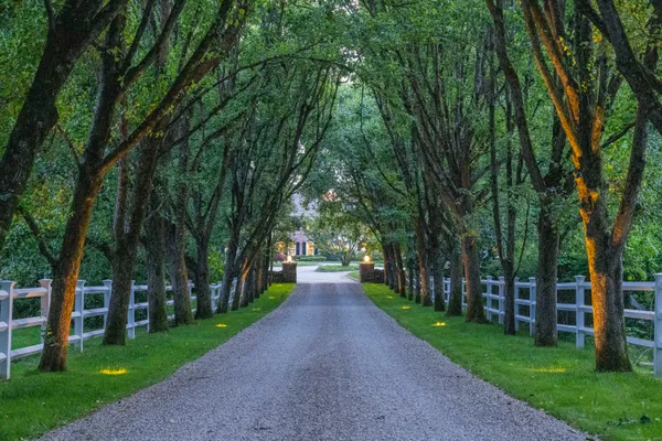 a view of park with trees
