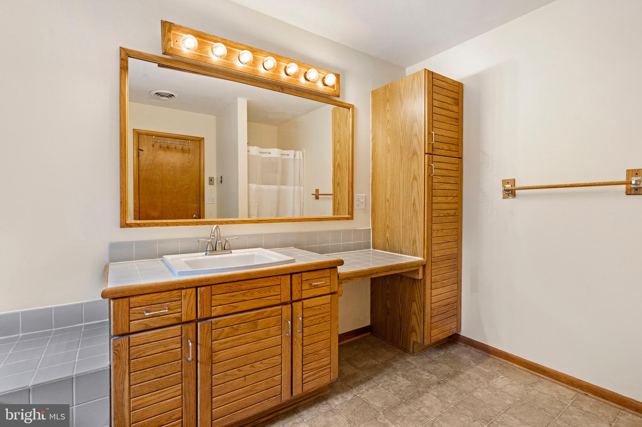 903 Colston Drive Falling Waters, WV 25419 - Photo 30 of 46 Primary bathroom
