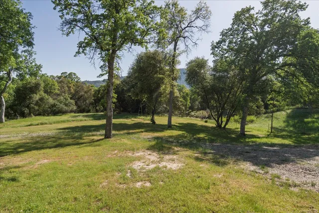 a view of a yard with a tree