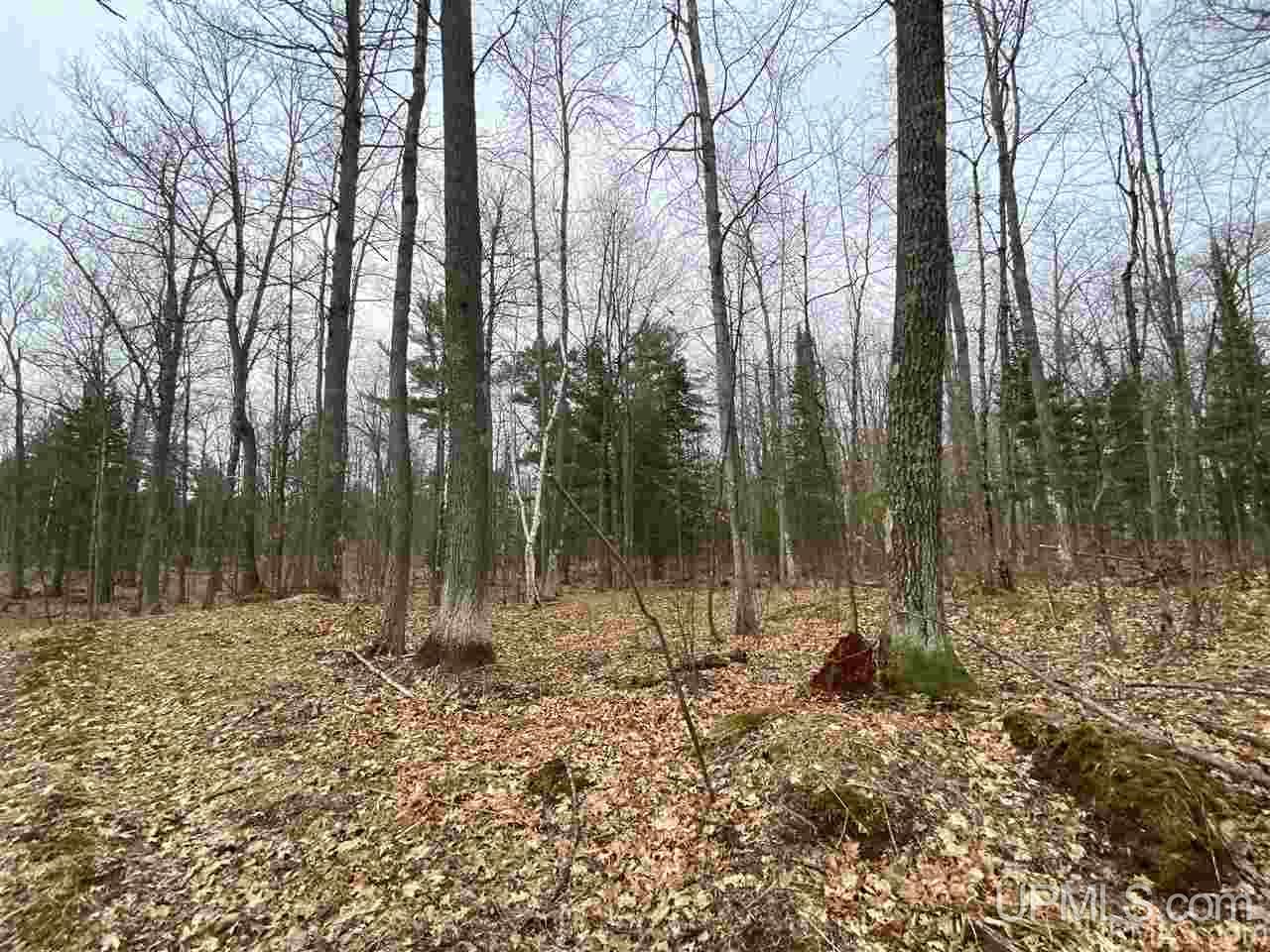 Tbd Plains Cutoff Road Baraga, MI 49908 - Photo 20 of 49