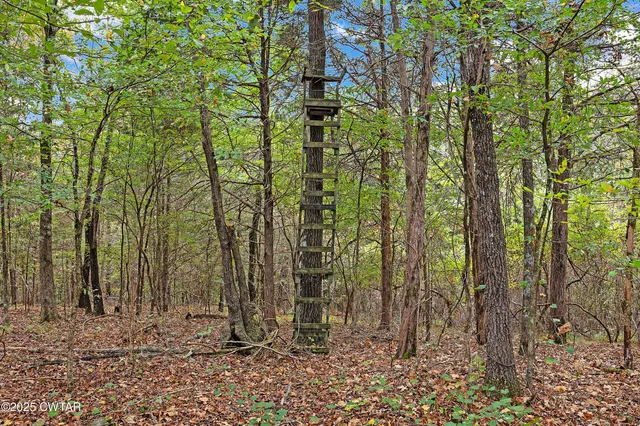 a backyard of a house with lots of trees and plants