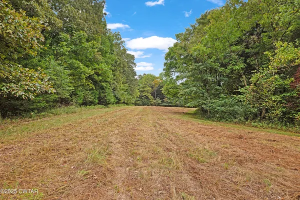 a view of dirt field with trees in background