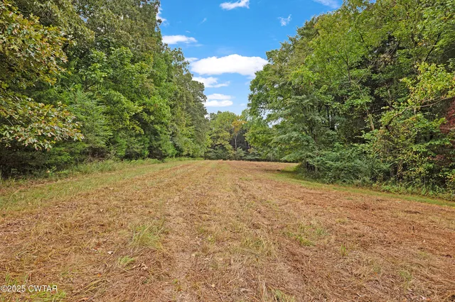 a view of dirt field with trees in background