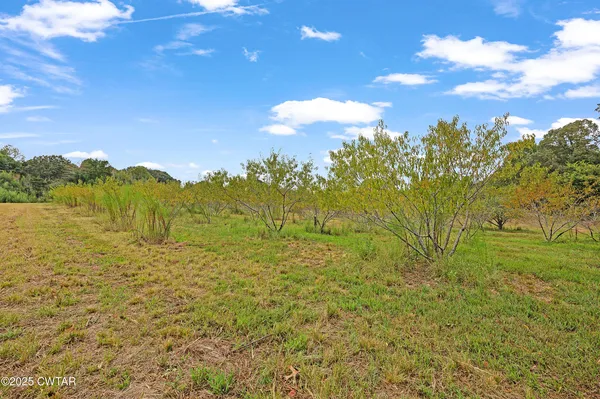 a view of an outdoor space and a yard