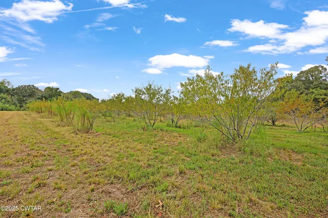 a view of an outdoor space and a yard