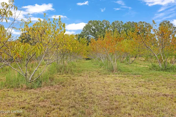 a view of a yard with an trees