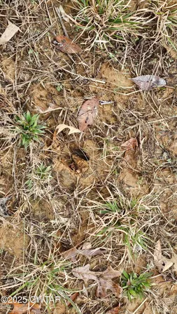 $319,900 | 125 Advent Road, Bolivar, TN 38008