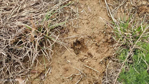 $319,900 | 125 Advent Road, Bolivar, TN 38008