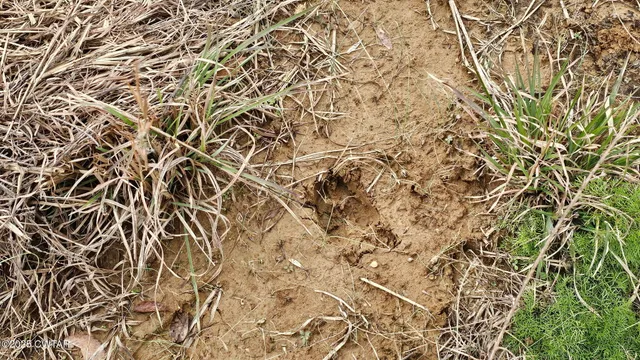 $319,900 | 125 Advent Road, Bolivar, TN 38008