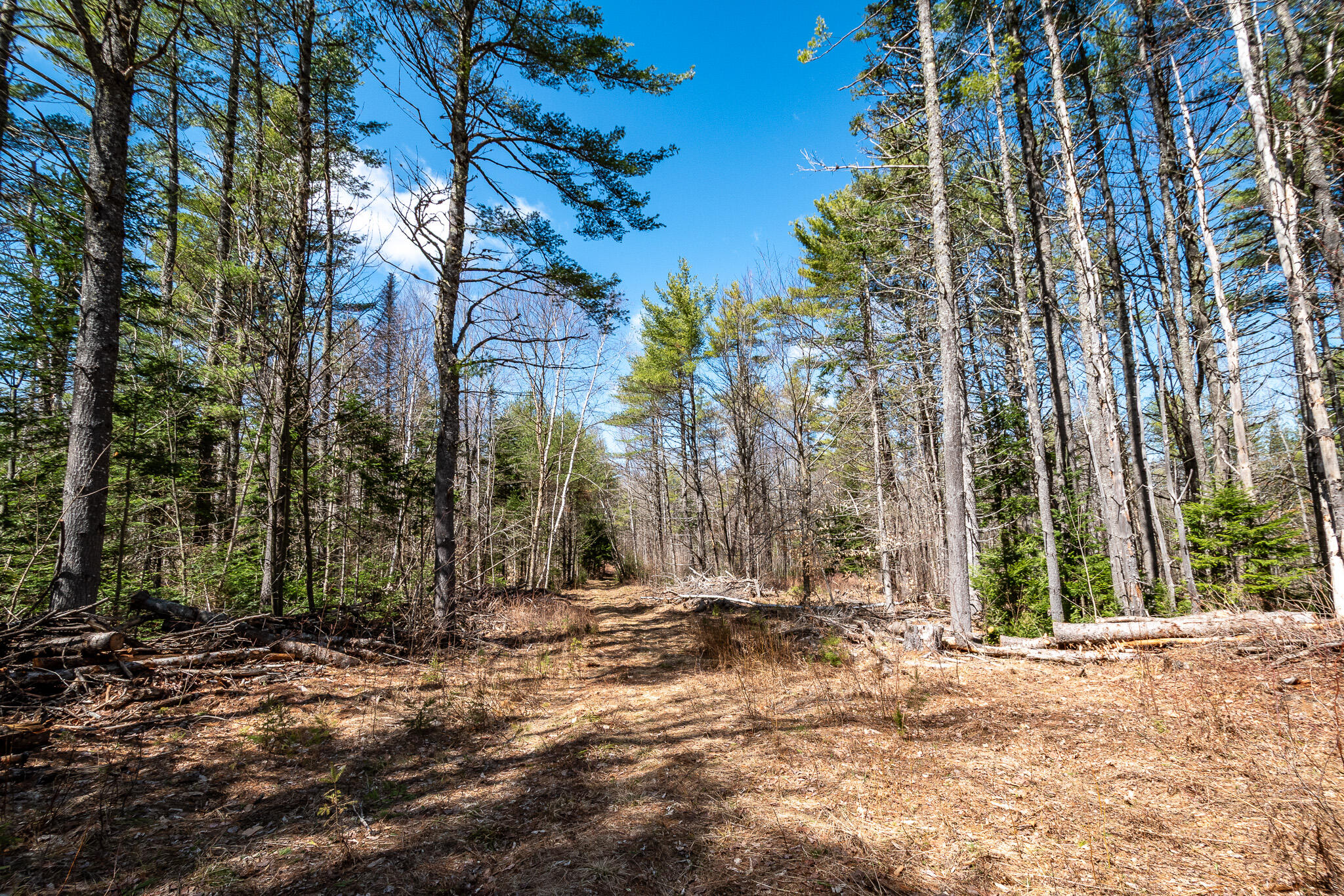 0 Bearce Road Sangerville, ME 04479 - Photo 45 of 50 DSC_0497