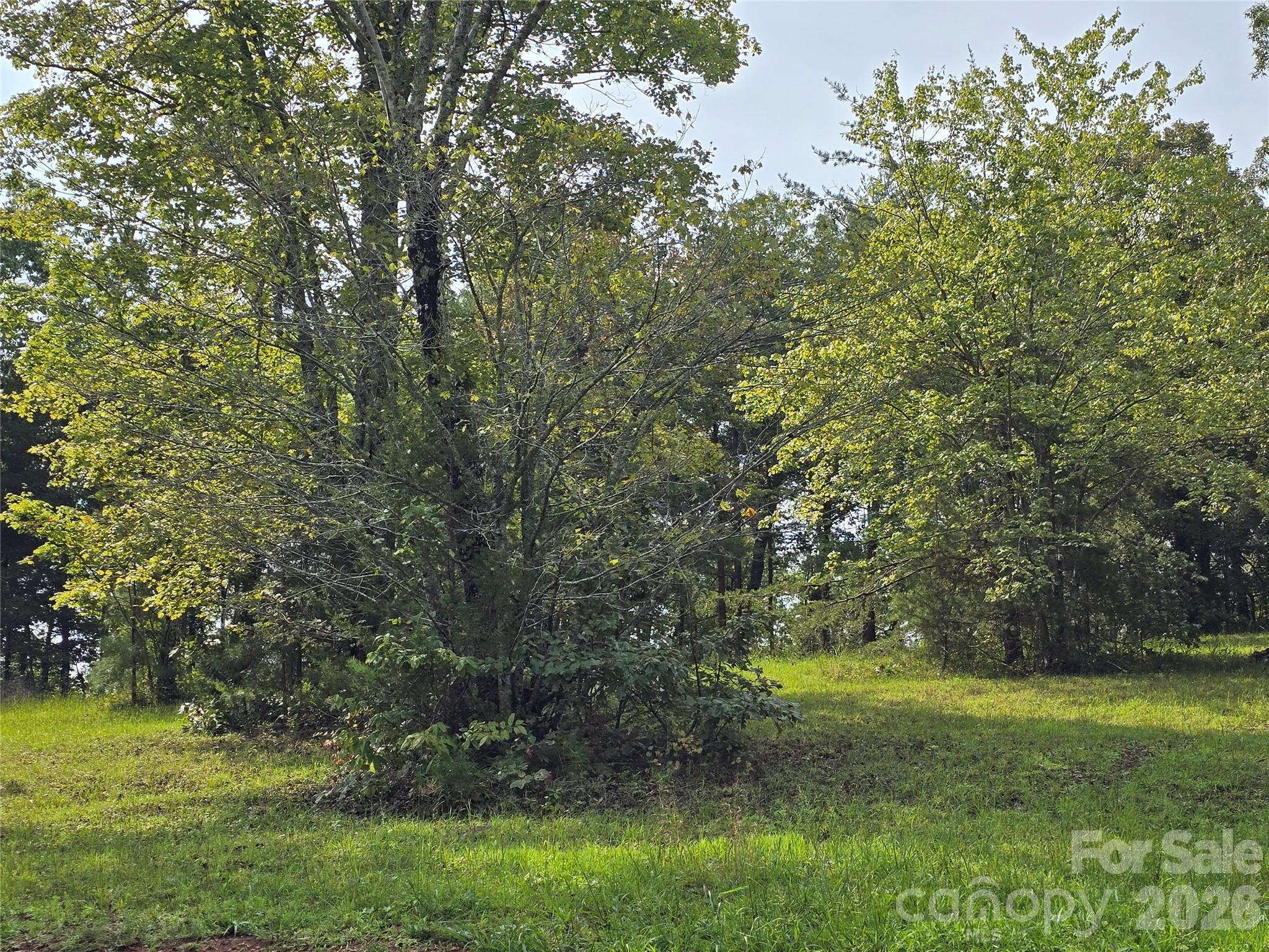 1696 Old Cc Road Rutherfordton, NC 28139 - Photo 3 of 5