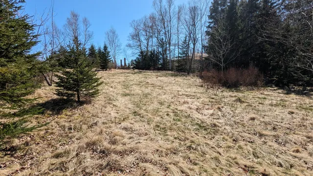 $59,000 | 0 Barton Street, Eastport, ME 04631