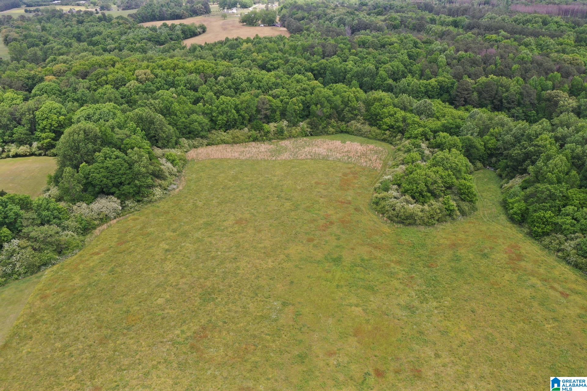 245 Schoolhouse Road Baileyton, AL 35019 - Photo 4 of 20