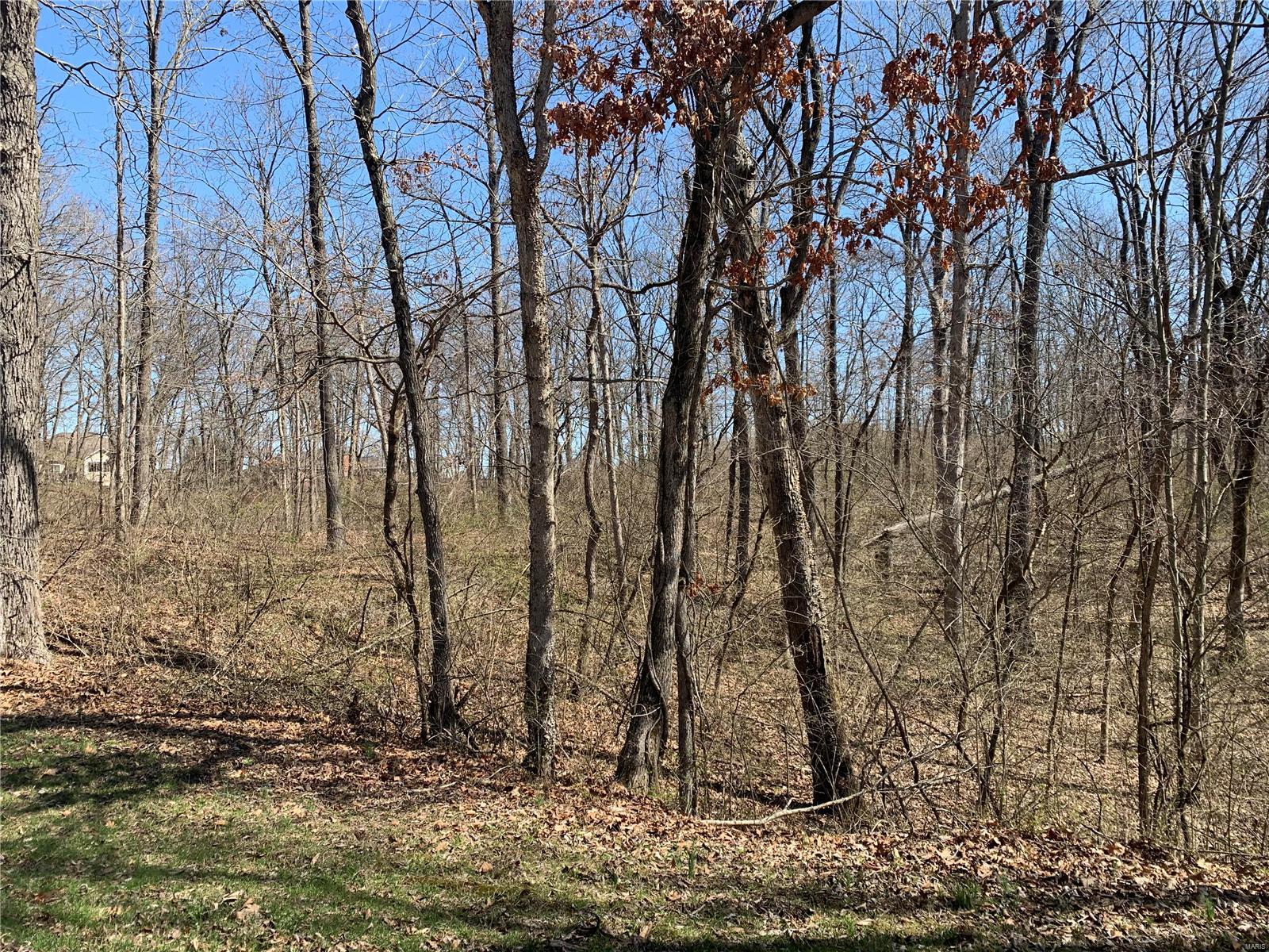 6214 Old Baum Church Road Waterloo, IL 62298 - Photo 6 of 18