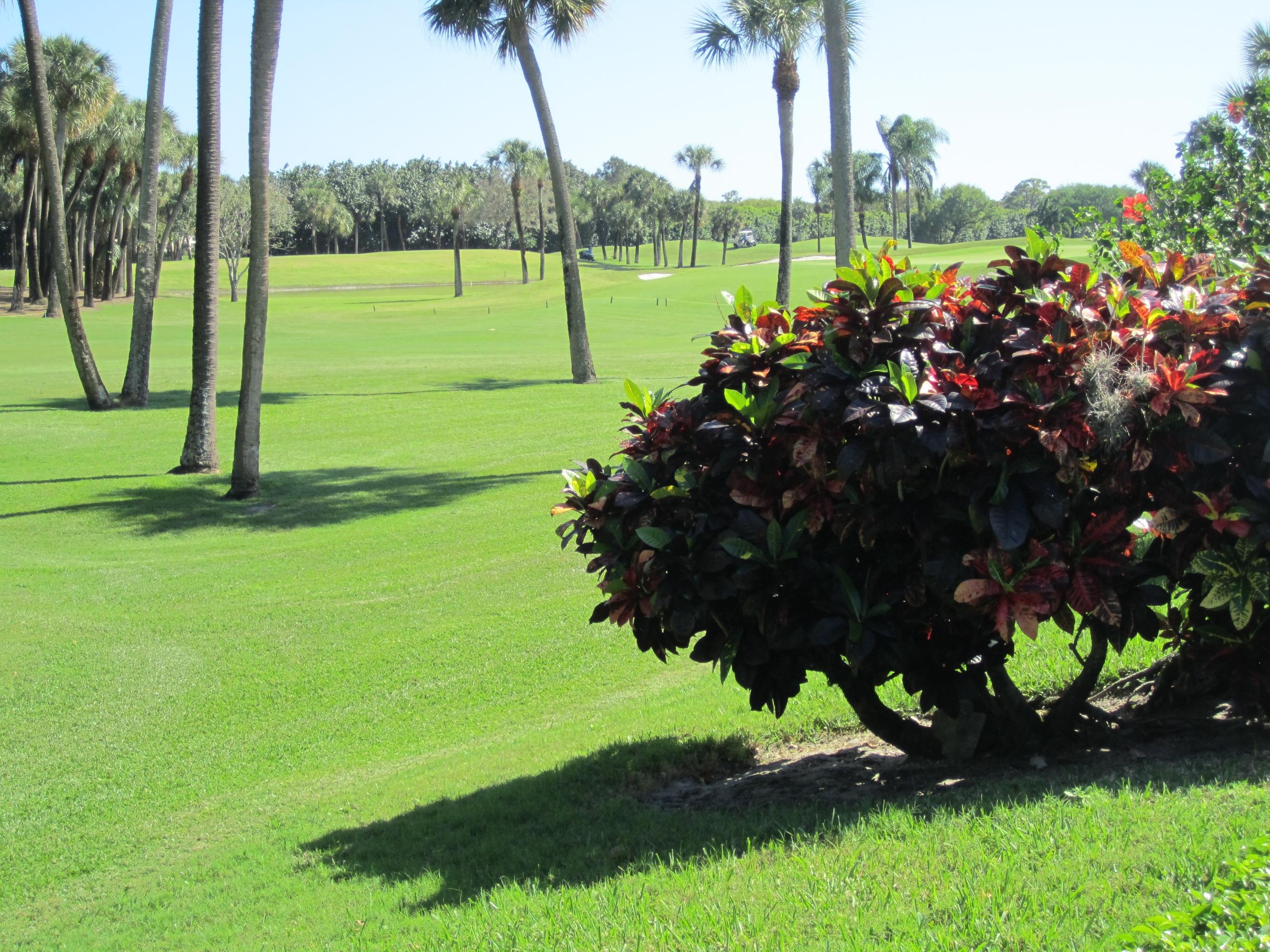 4420 Bocaire Boulevard Boca Raton, FL 33487 - Photo 24 of 25 Golf View
