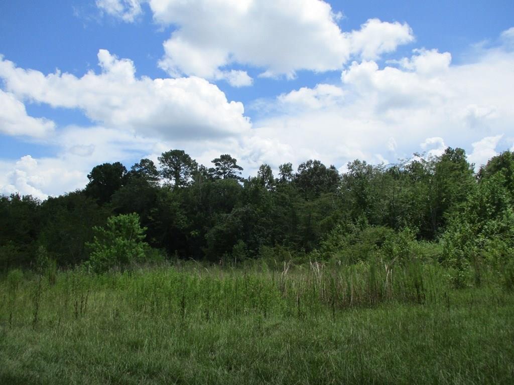 Tbd Lime Kiln Road Natchitoches, LA 71457 - Photo 1 of 3 Gallery Image 1