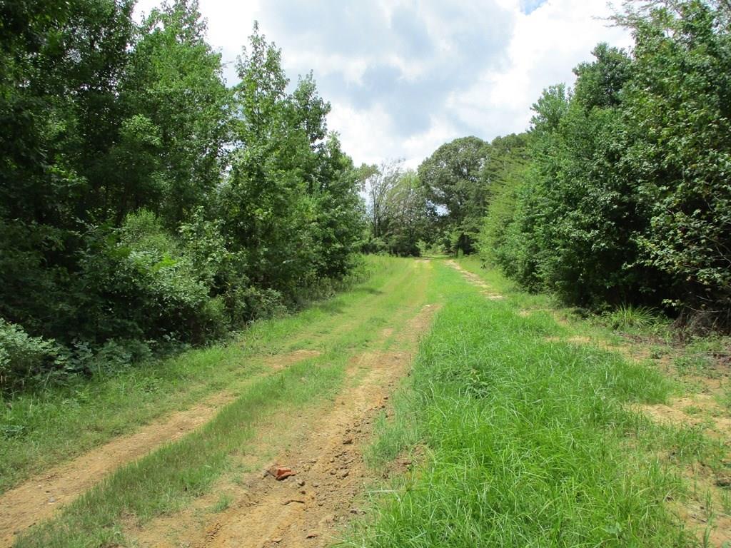 Tbd Lime Kiln Road Natchitoches, LA 71457 - Photo 2 of 3 Gallery Image 2