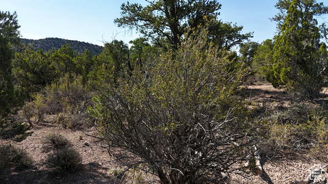 123 Tbd Prout Wash Road North Cedar City, UT 84721 - Photo 47 of 82