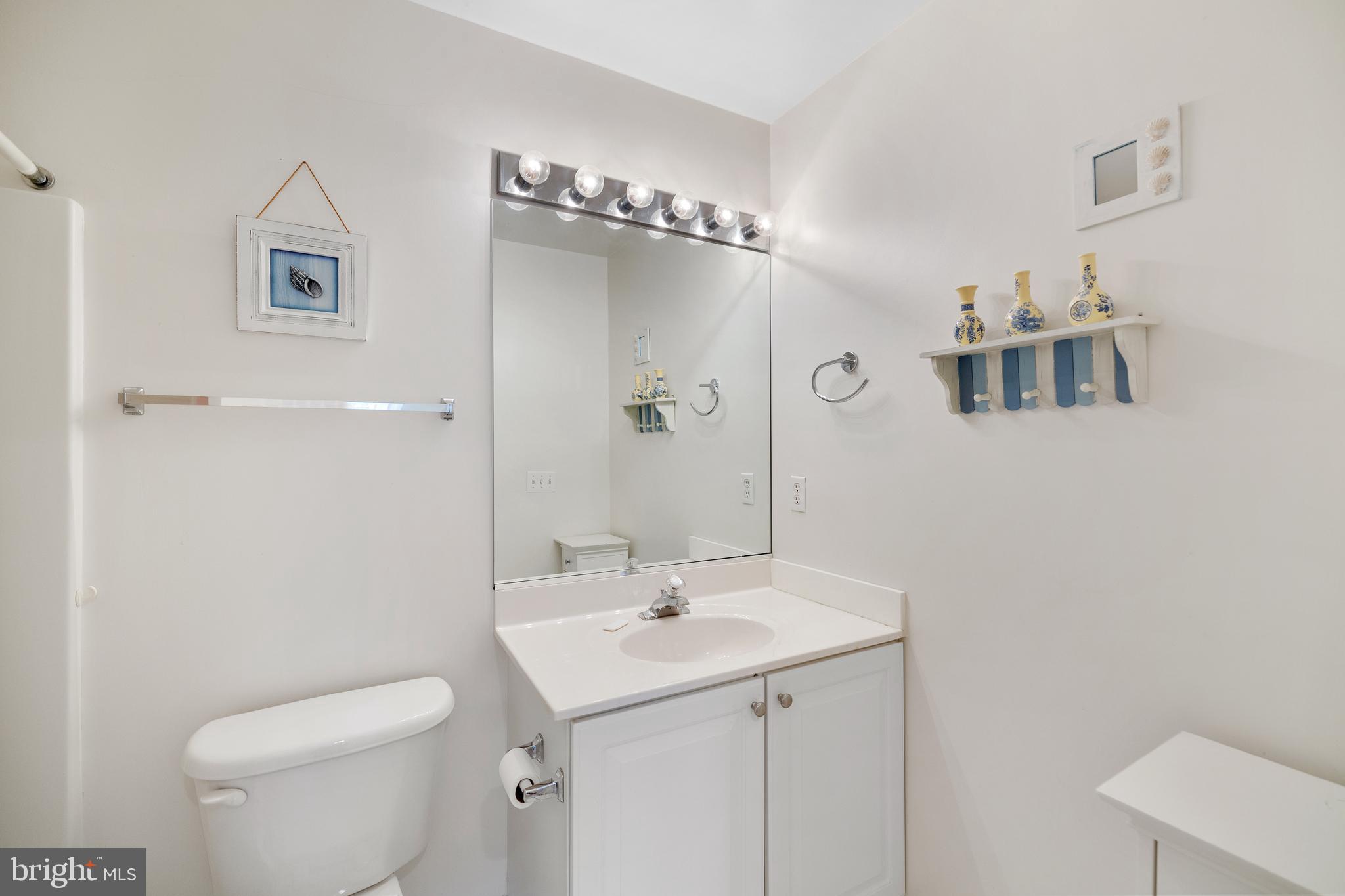 807 Auckland Way Chester, MD 21619 - Photo 23 of 47 a bathroom with a sink a toilet and shower