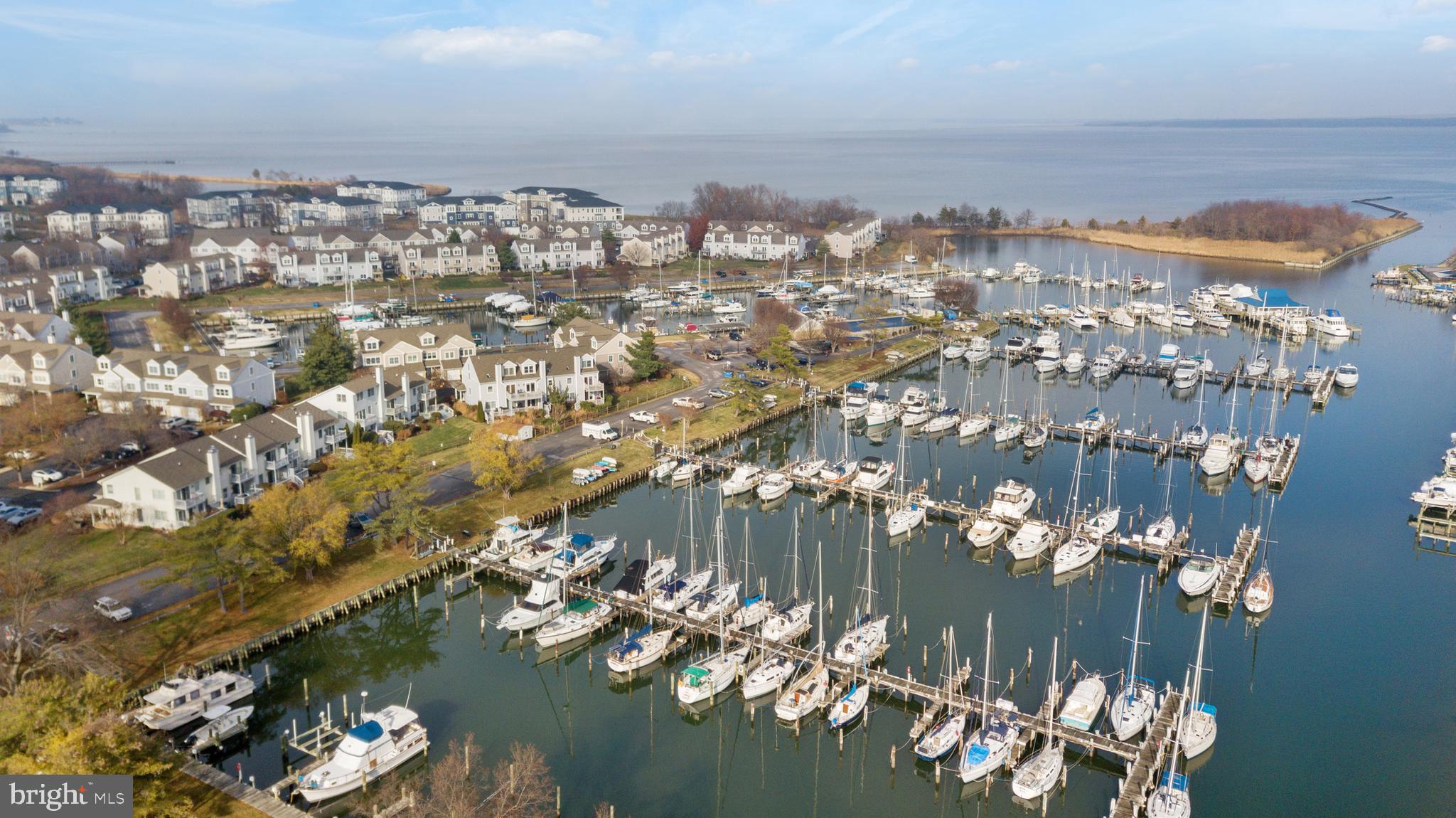 807 Auckland Way Chester, MD 21619 - Photo 46 of 47 a view of a city