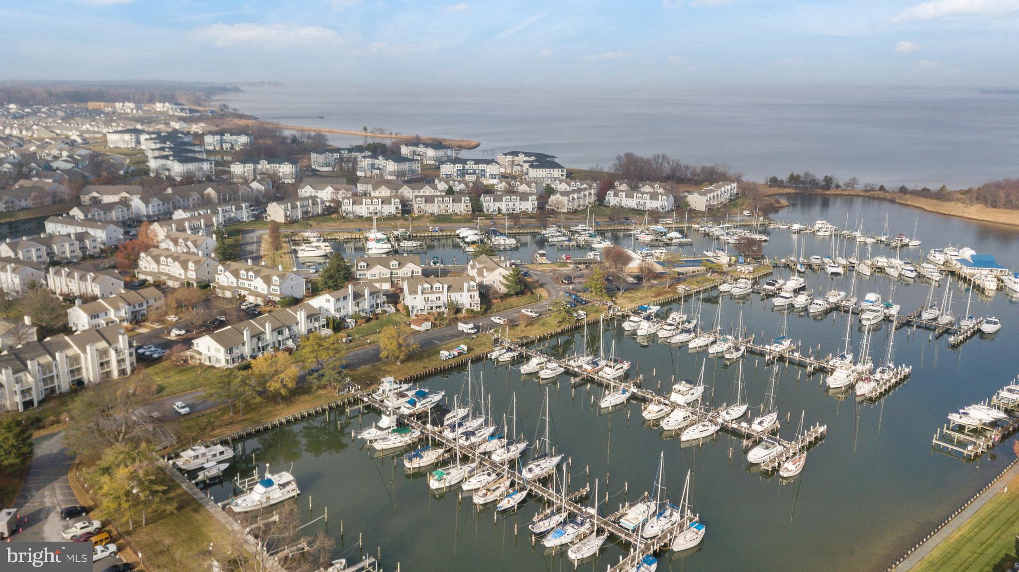 807 Auckland Way Chester, MD 21619 - Photo 47 of 47