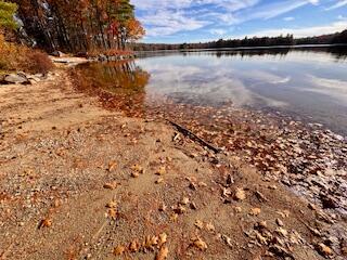 Lot 1 Naples Road Harrison, ME 04040 - Photo 9 of 9 IMG_5428