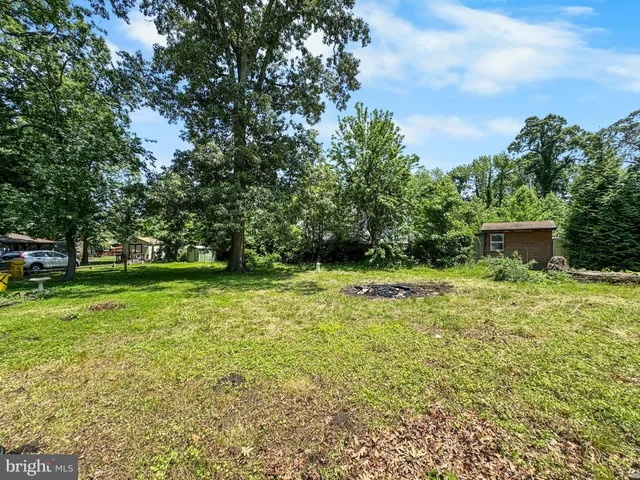 a view of a backyard with large trees