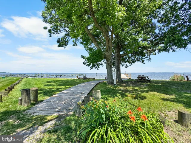 a view of a garden with a building in the background