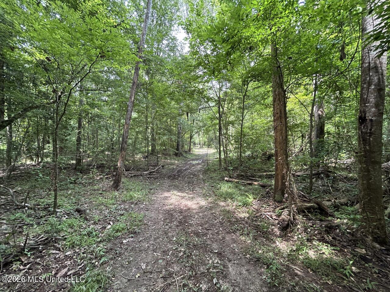 6642 Grange Hall Road Osyka, MS 39657 - Photo 18 of 50 IMG_4370 Large