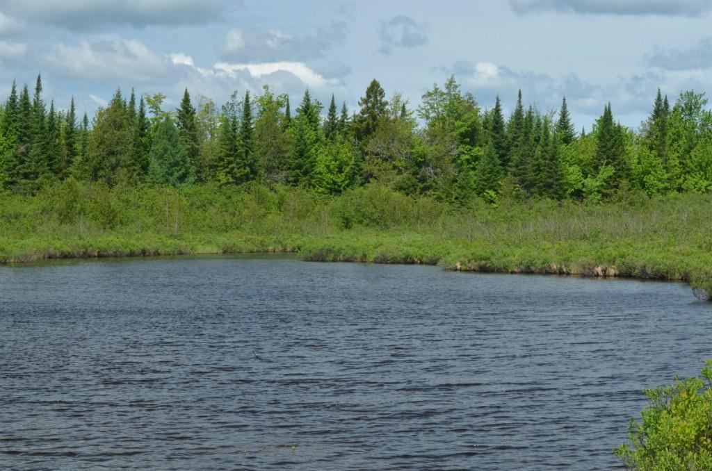 0 Moose Brook Road Houlton, ME 04730 - Photo 6 of 18 Maine Land for Sale in Ludlow Maine