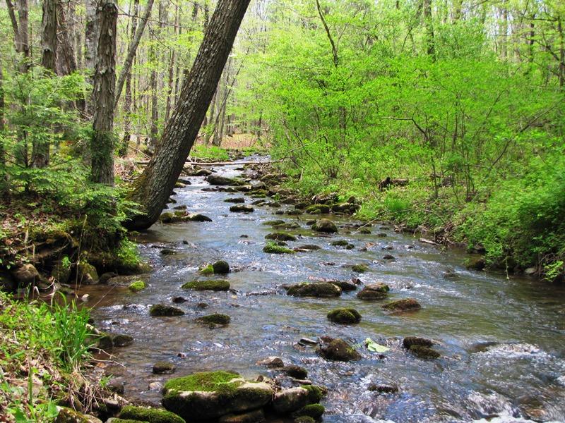 329 Trout Run Road Waiteville, WV 24984 - Photo 1 of 91 Gallery Image 1