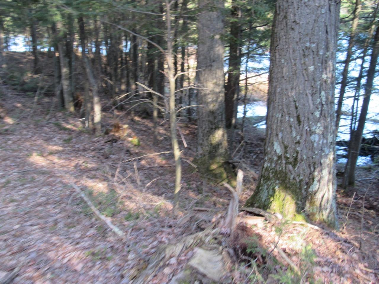 Along Hewitt Road, Unit LOT 1 Mercer, WI 54547 - Photo 14 of 32 Gallery Image 14