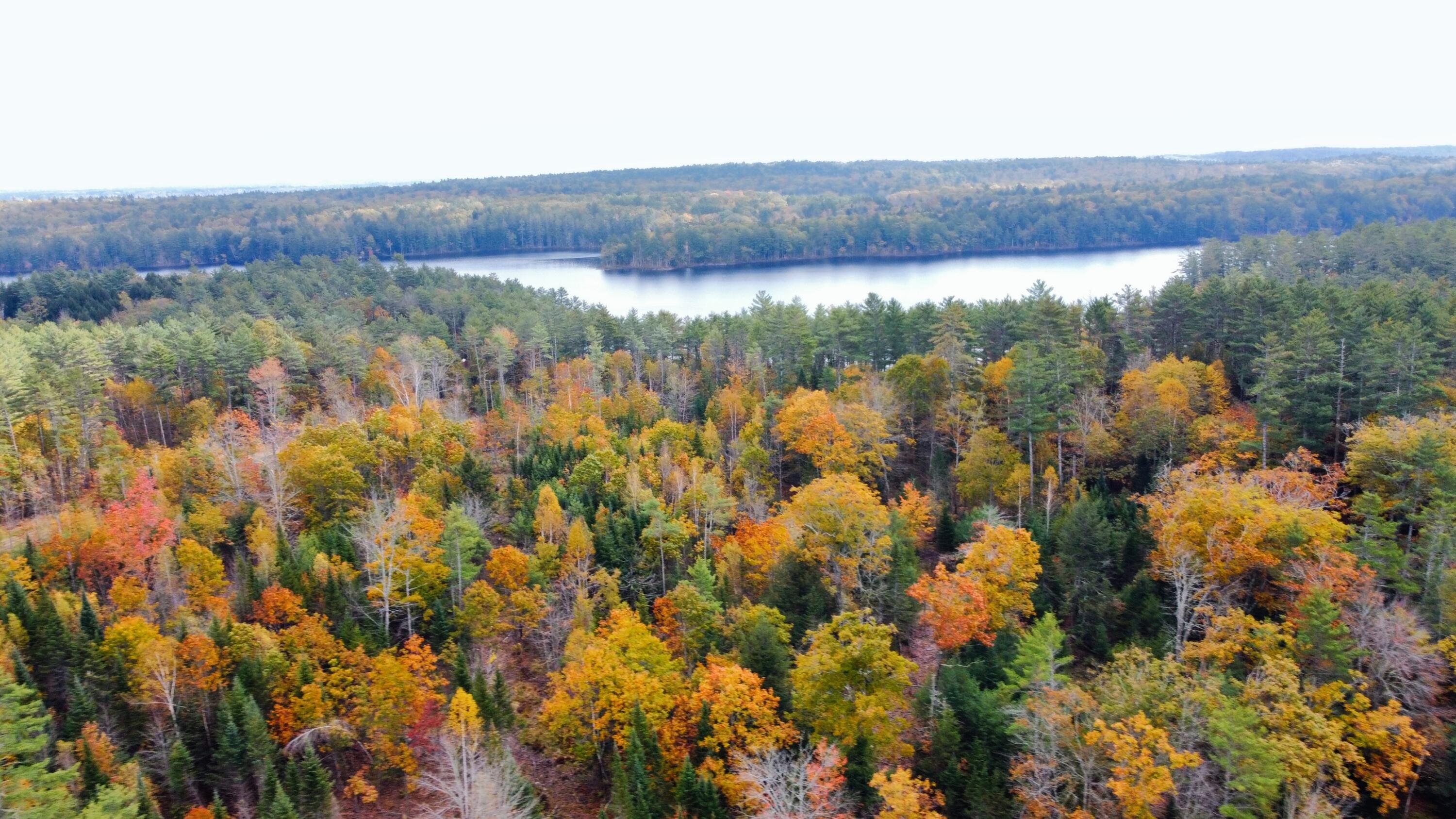 398 Hinks Road Jefferson, ME 04348 - Photo 3 of 26 dyer long pond