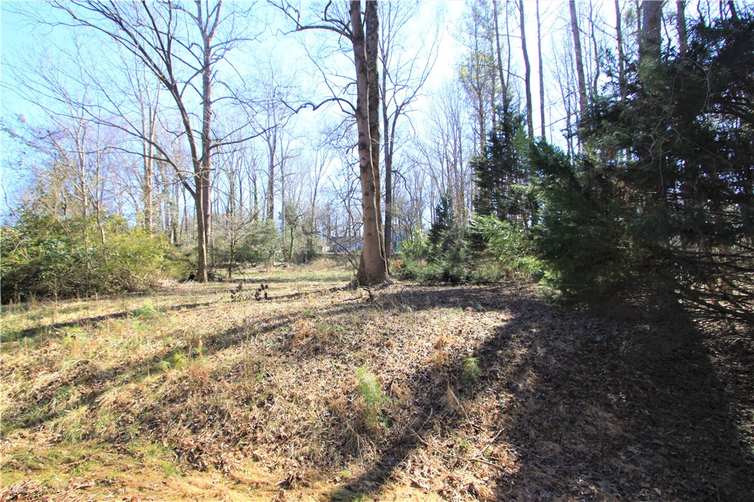 0 Covington Court Anderson, SC 29621 - Photo 2 of 14
