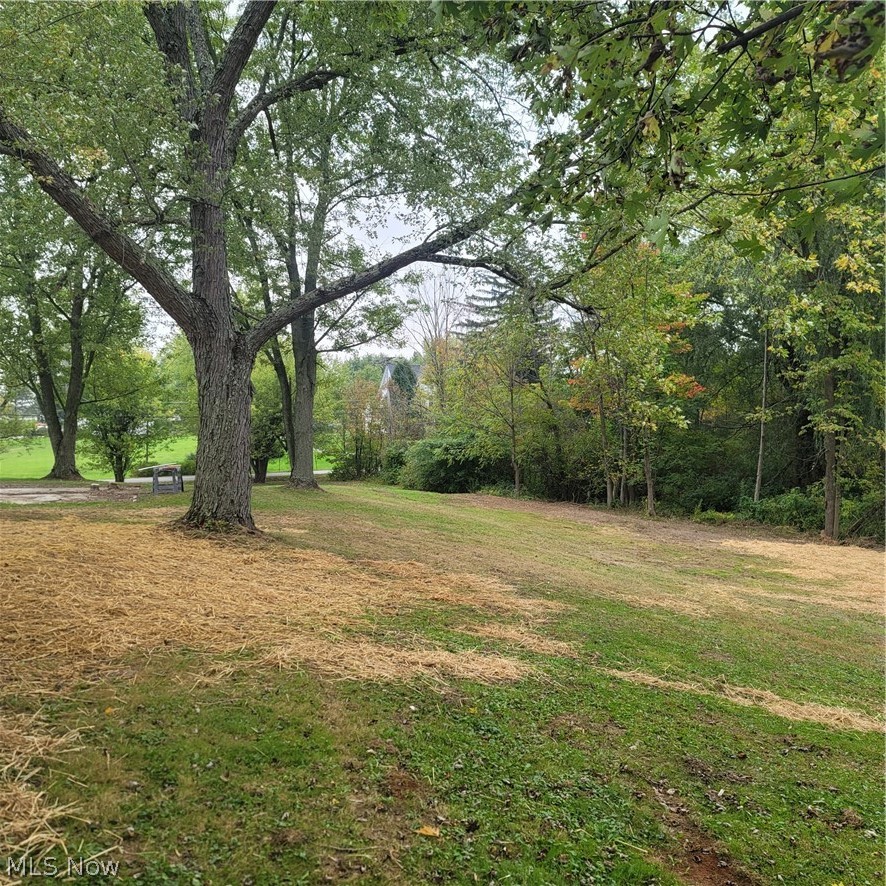 11055 Springfield Road North Lima, OH 44452 - Photo 27 of 29