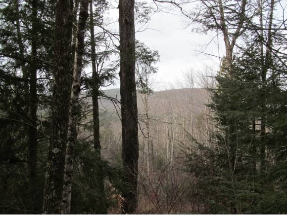 Allen Road South Acworth, NH 03607 - Photo 1 of 1