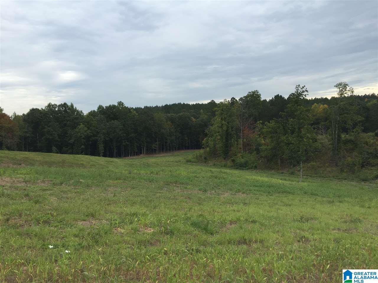 2111 Red Oak Road Helena, AL 35080 - Photo 25 of 34