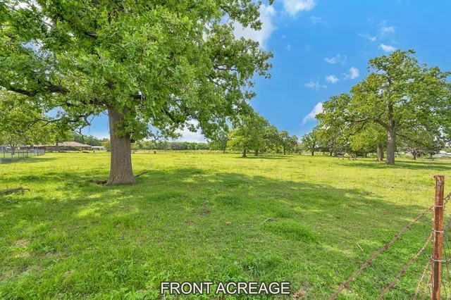 a view of yard with green space