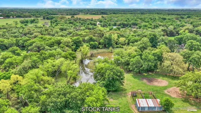 a view of a lush green forest with lots of trees
