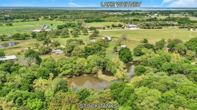 a view of a garden with an ocean
