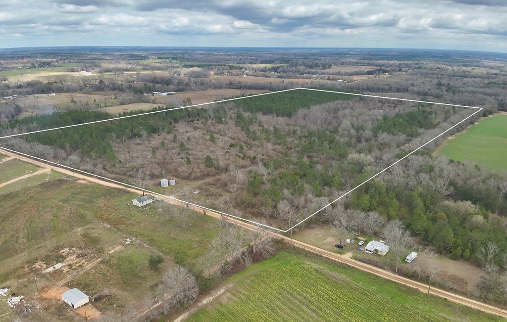 86-acres New Hinson Road Slocomb, AL 36375 - Photo 6 of 15