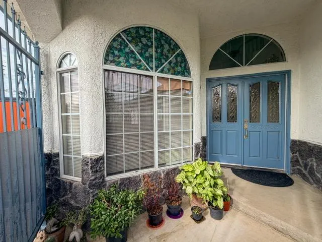 a view of a house with potted plants