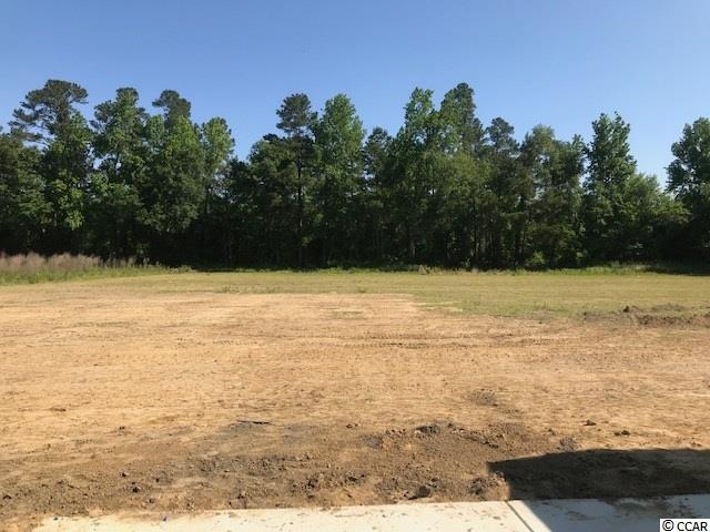 412 St John Road Galivants Ferry, SC 29544 - Photo 6 of 19 Gallery Image 6