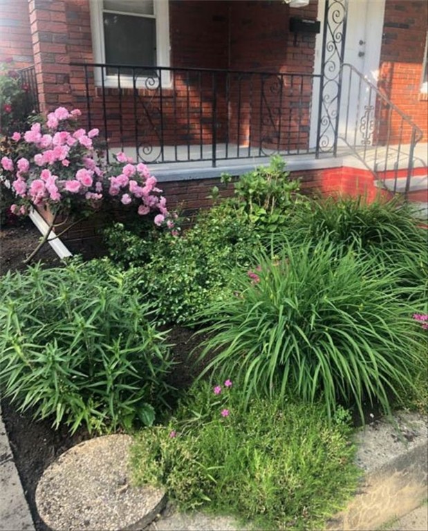 65 Bain Street Cranston, RI 02920 - Photo 3 of 44 FRONT GARDEN